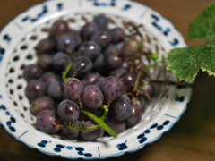 P1082122
