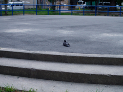 P1060396_DxO