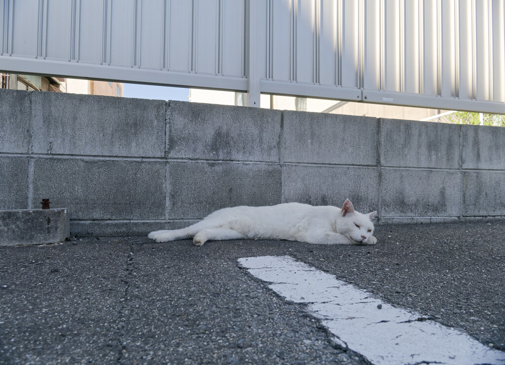_1050545_DxO