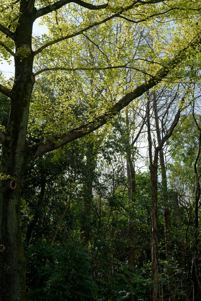7R308951_DxO