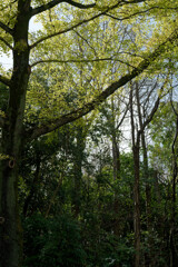 7R308951_DxO