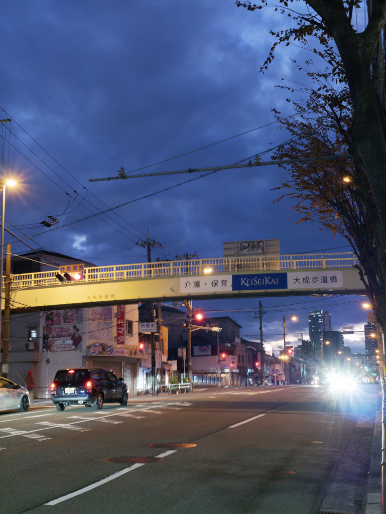 _1030011_DxO