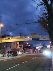 _1030011_DxO