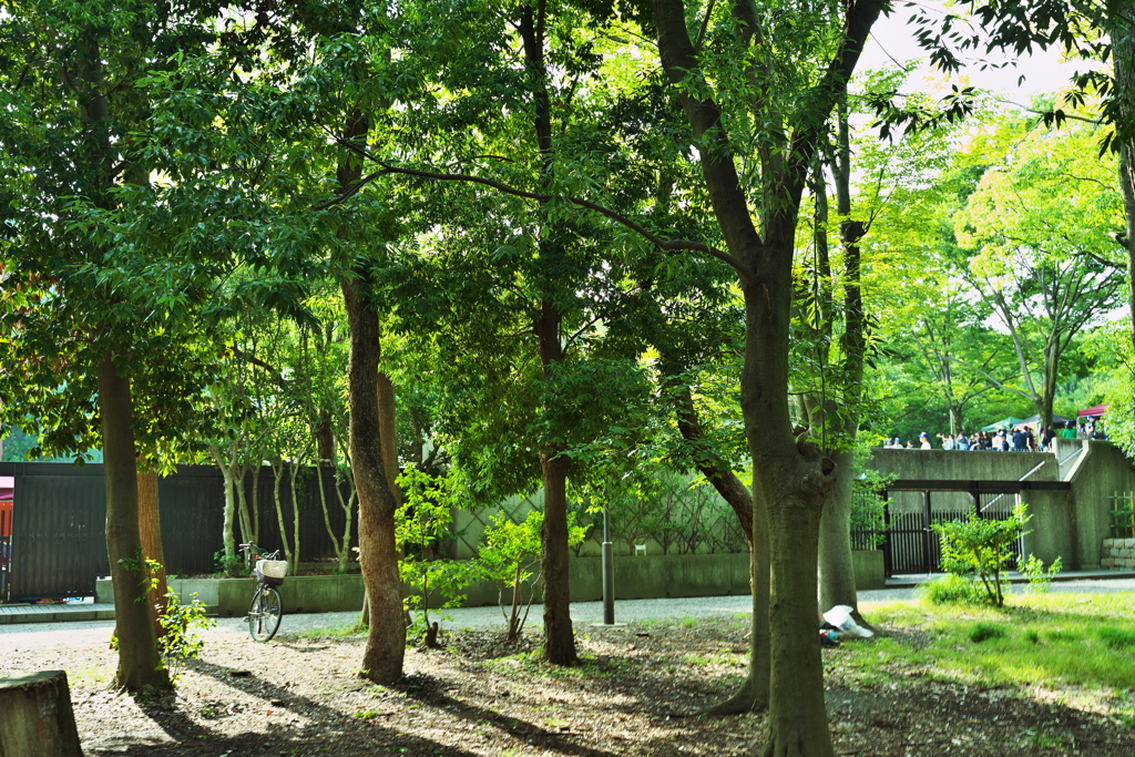 DSC01794