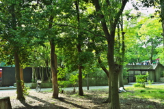 DSC01794