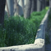 P1078201