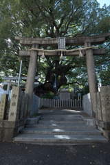 P1000278