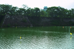 DSC01815