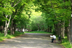 二胡奏者のいる風景