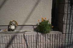 _A7C4409_DxO