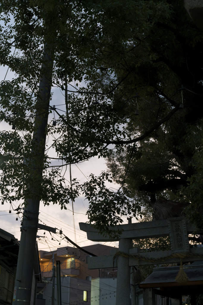 _A7C3049_DxO