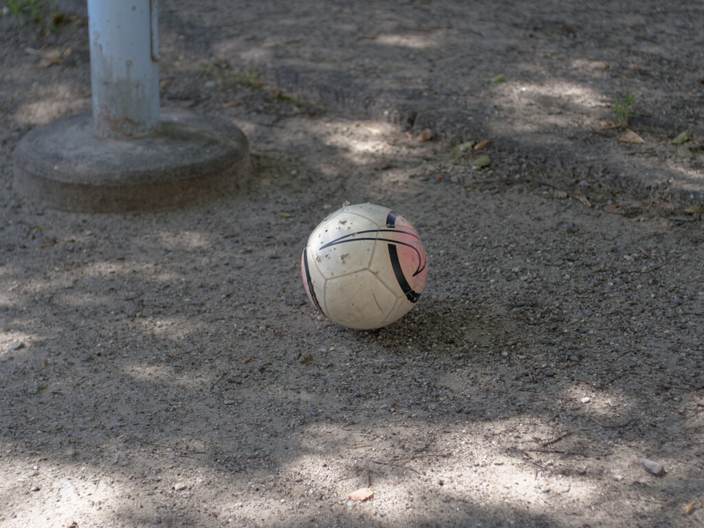 _1070039_DxO