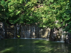 P1093939