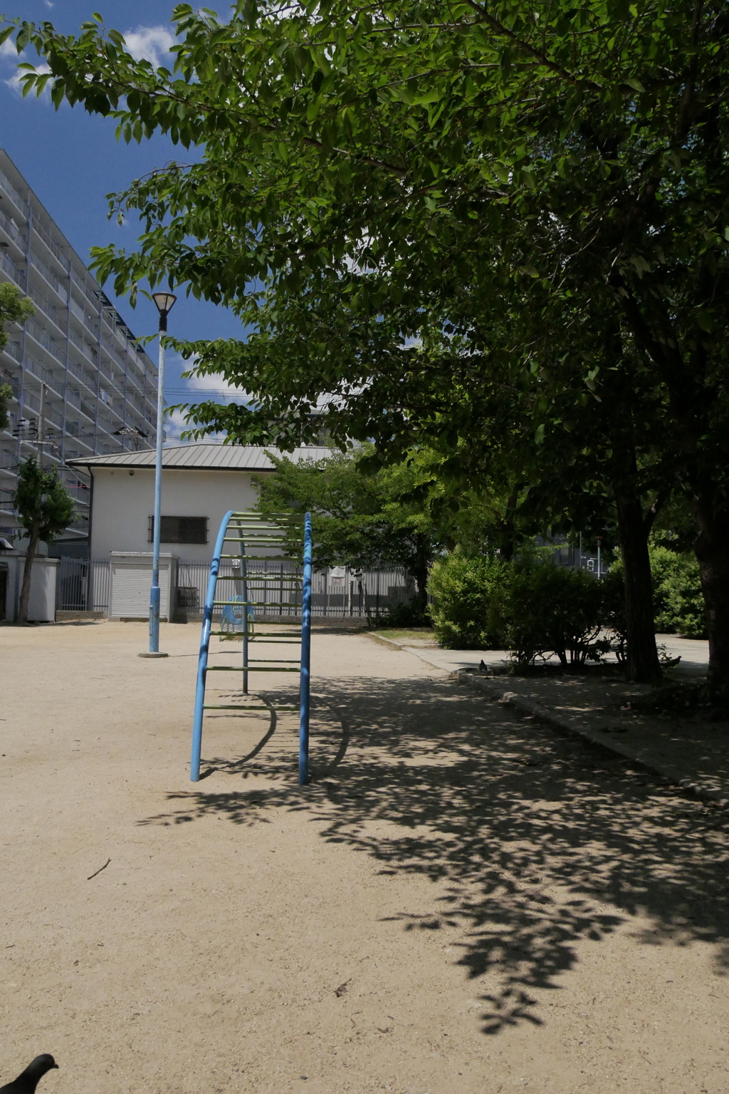 撮って出しってどうなん