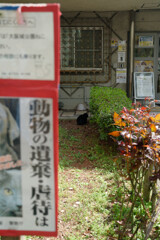 7R308945_DxO