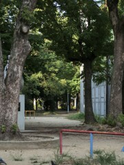 P1081417