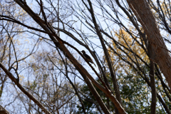 DSC00423_1