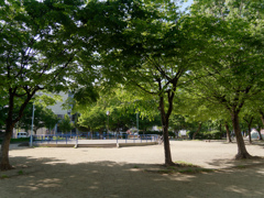 子供の日の公園