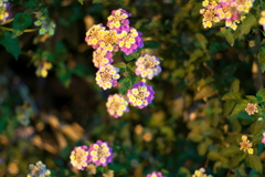 DSC00762