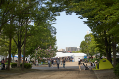 DSC02498