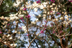 DSC00418