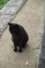 DSC02988