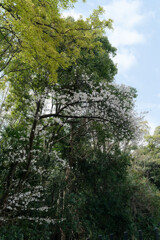 7R308950_DxO