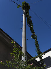 _G9P9228_DxO