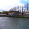 P1078253