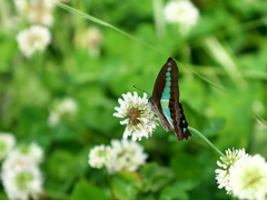 DSC00953