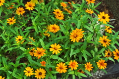 DSC01825