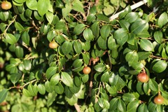 P1081425