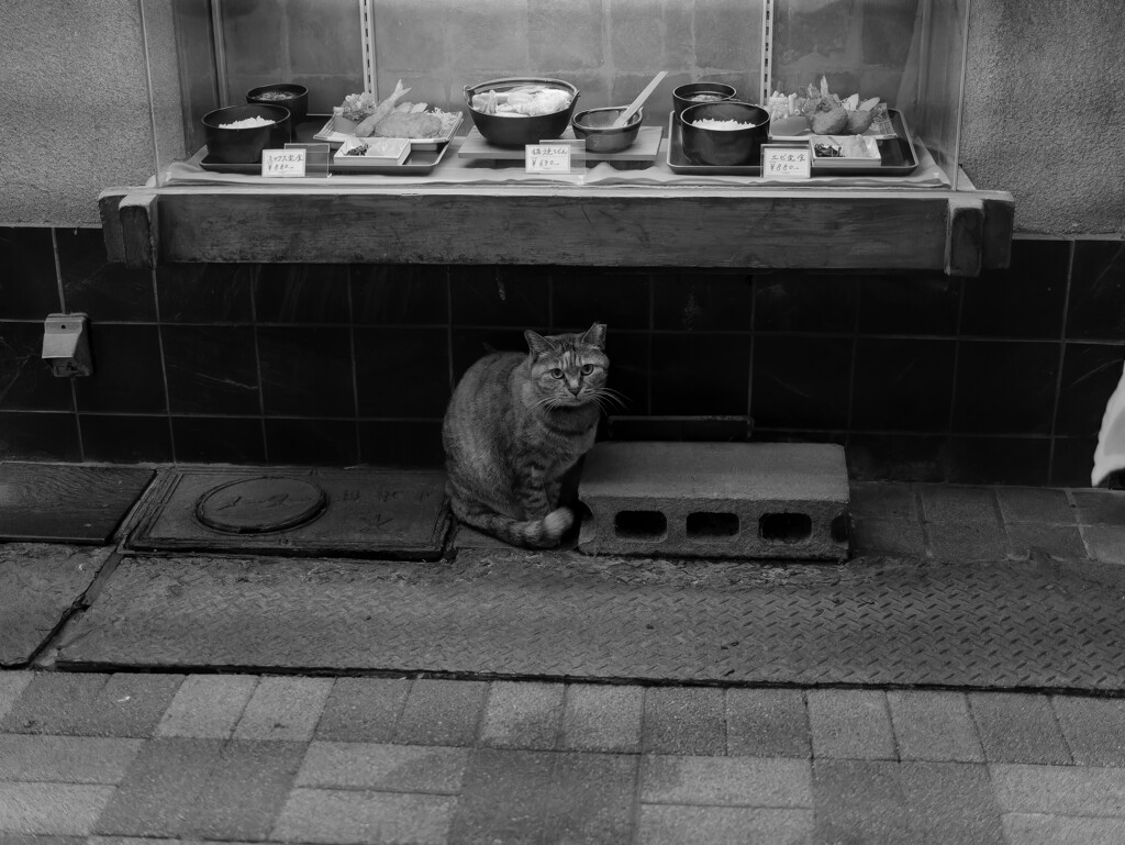 と言う事でモノクロに