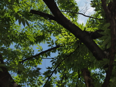P1060490