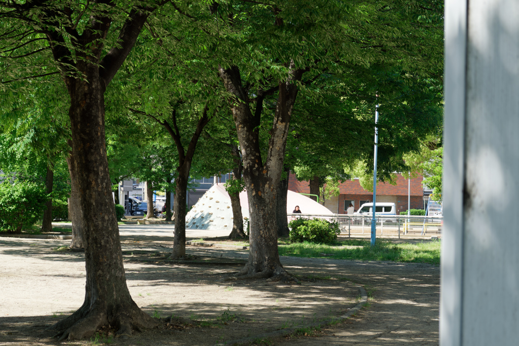 雨上がりの公園