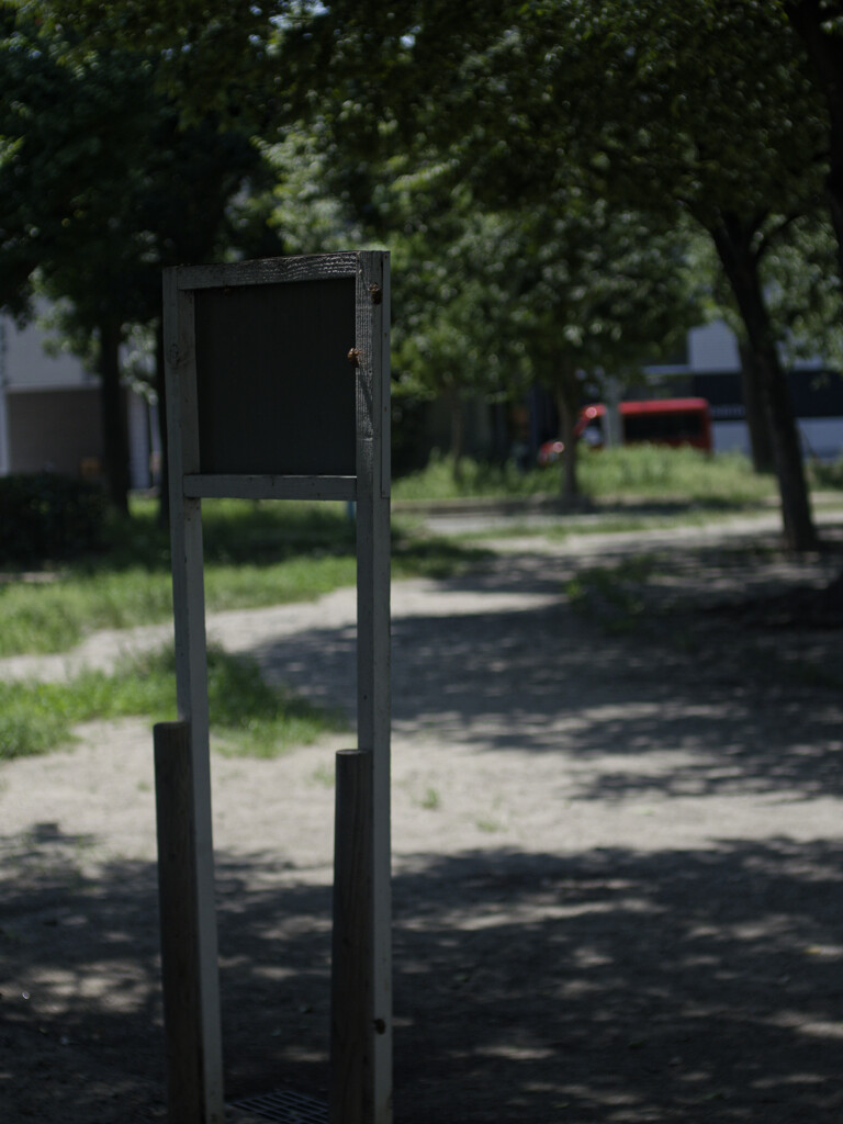 _1090825_DxO
