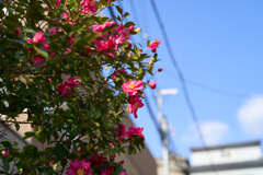 A7C08545 1