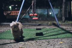 猛犬注意