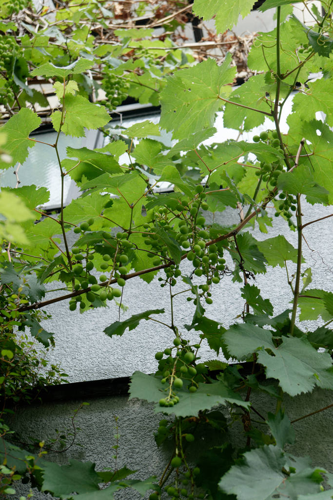 P1040208_DxO