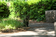 DSC00946