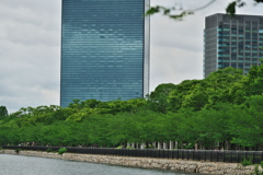DSC01249