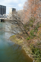 DSC00025_1