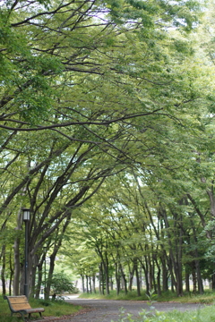 A7C07703