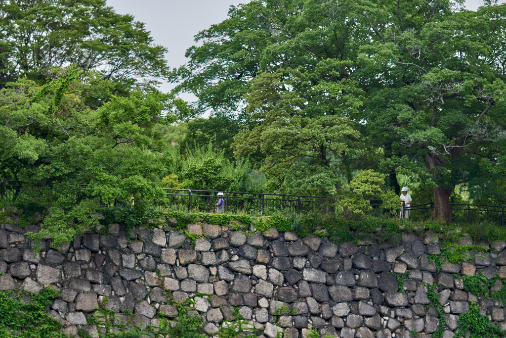 DSC06598