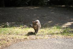 DSC00843