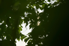 DSC00896