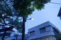 DSC09582_DxO