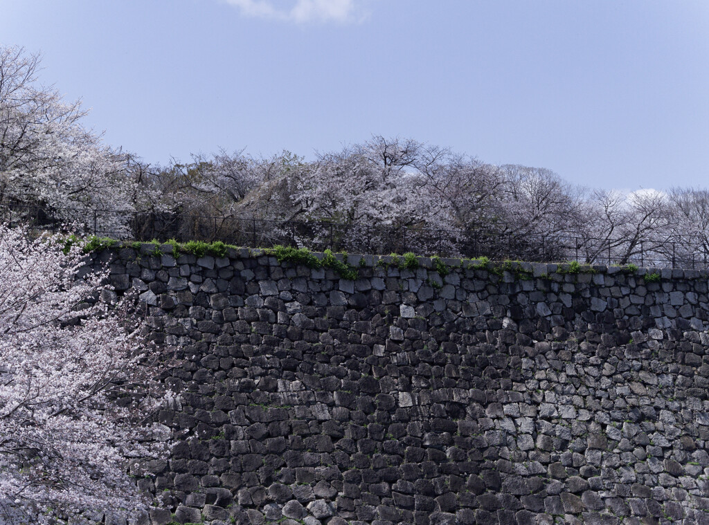 _1090467_DxO
