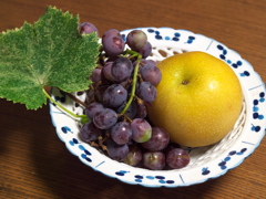 P1082156