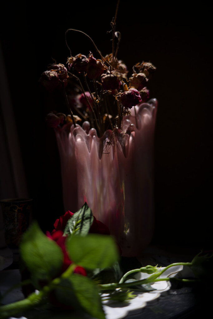_1036580_DxO